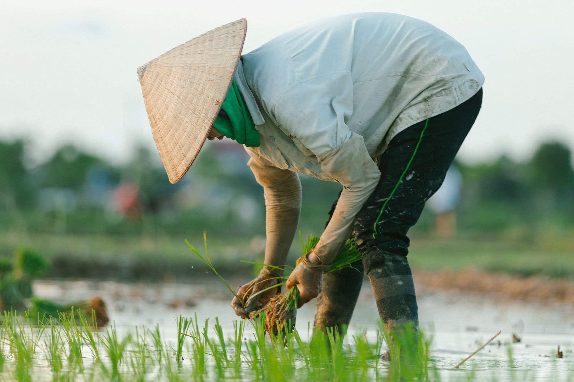 Farm work boots for outdoor agriculture environments