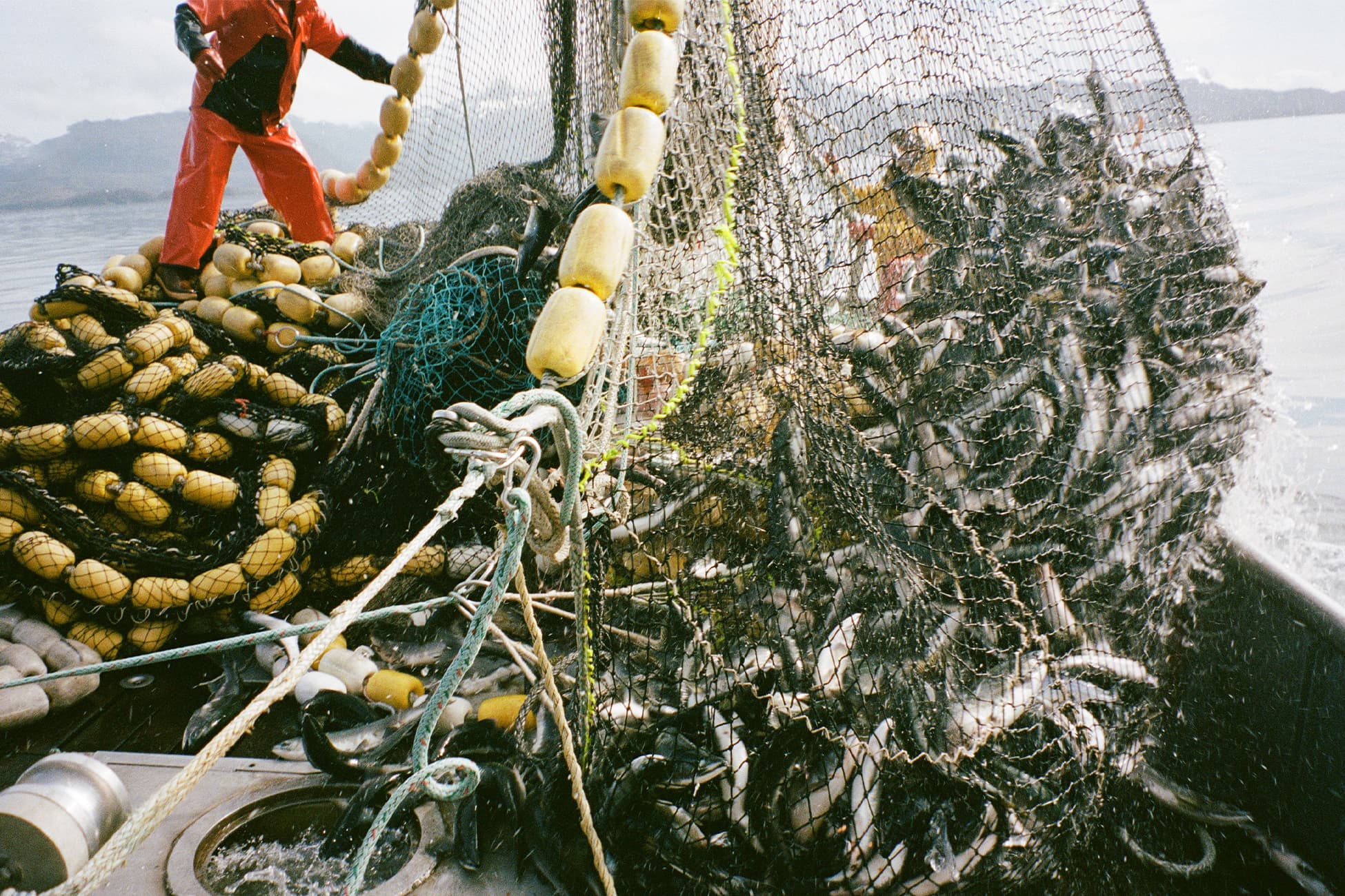 Fishery and aquaculture boots for wet seafood processing areas